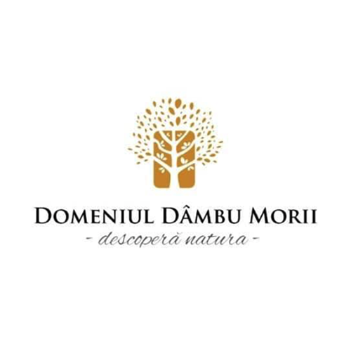 logo dambu morii